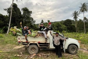 Koh Samui: Ethical Elephant Observation Half-Day Tour