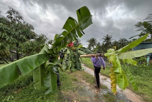 Koh Samui: Ethical Elephant Observation Half-Day Tour
