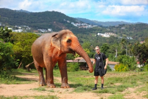 Koh Samui: Ethical Elephant Observation Half-Day Tour