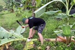 Doświadczenie etycznego słonia: Obserwuj i ucz się na Koh Samui