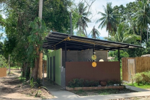 Koh Samui: Ethical Elephant Sanctuary Interactive Tour