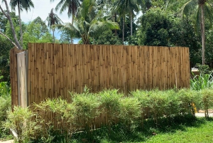 Koh Samui: Ethical Elephant Sanctuary Interactive Tour