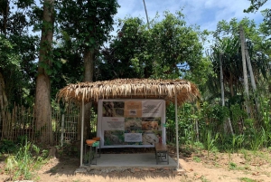 Koh Samui: Ethical Elephant Sanctuary Interactive Tour