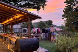 Koh Samui : cours de cuisine thaïlandaise en soirée avec jardin biologique