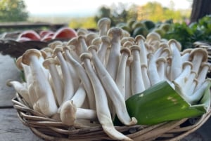 Koh Samui : cours de cuisine thaïlandaise en soirée avec jardin biologique