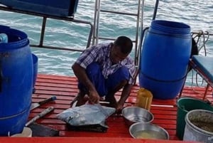 KOH SAMUI UPPLEVELSE DAG FISKE