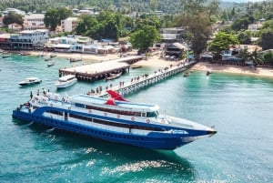 Koh Samui: Fast Ferry Journey between Koh Samui and Koh Tao