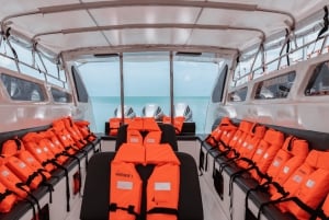 Koh Samui: Fast Ferry Journey between Koh Samui and Koh Tao