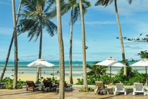 Koh Samui: Fast Ferry Journey between Koh Samui and Koh Tao