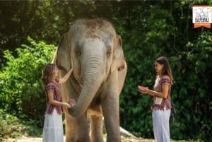 Koh Samui: Füttern und Duschen mit Elefanten - ein exklusives Erlebnis