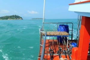 Koh Samui: Fisketur med ledsagerbådtur med Mr. Tu