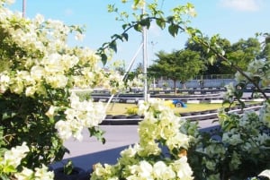 Koh Samui: Experiência de karting