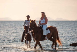 Koh Samui: Guided Horse Riding Tour on the Beach
