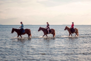 Koh Samui: Guided Horse Riding Tour on the Beach
