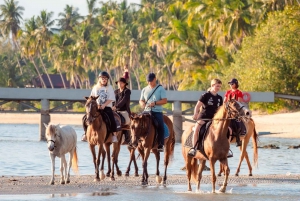 Koh Samui: Guided Horse Riding Tour on the Beach