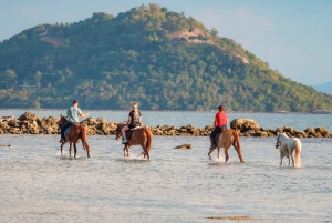 Koh Samui: Guided Horse Riding Tour on the Beach