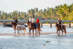 Koh Samui: Guided Horse Riding Tour on the Beach