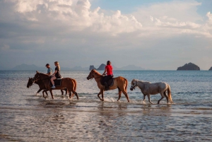Koh Samui: Guided Horse Riding Tour on the Beach