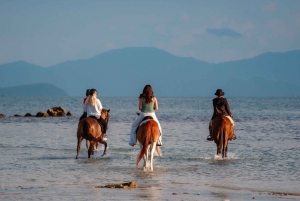 Koh Samui: Guided Horse Riding Tour on the Beach