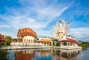 Koh Samui: Half Day Around Island Tour with Transfers
