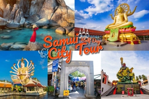 Koh Samui: Small Group Half Day City Highlights Tour