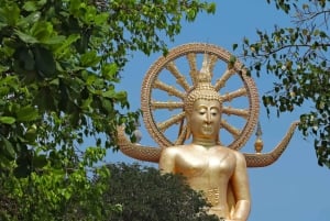 Koh Samui: Small Group Half Day City Highlights Tour