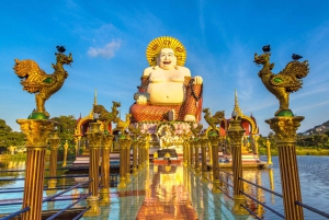 Koh Samui: Small Group Half Day City Highlights Tour