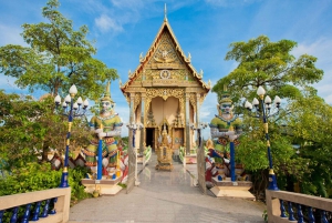 Koh Samui: Small Group Half Day City Highlights Tour