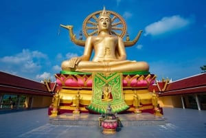 Koh Samui : visite d'une demi-journée avec prise en charge à l'hôtel