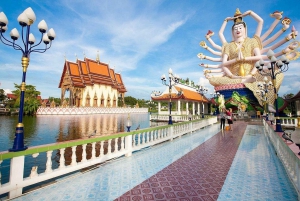 Koh Samui : visite d'une demi-journée avec prise en charge à l'hôtel