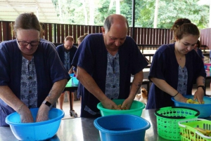 Koh Samui: Half Day Ethical Elephant Sanctuary With Mud Spa