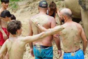 Koh Samui: Half Day Ethical Elephant Sanctuary With Mud Spa