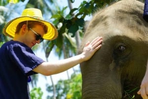 Koh Samui: Puolipäiväinen eettinen elefanttikylpylä ja mutakylpylä