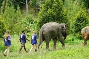 Koh Samui: Halbtägige ethische Elefantenauffangstation mit Schlammbad