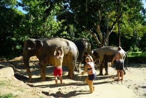 Koh Samui: Santuario ético de elefantes de media jornada con spa de barro