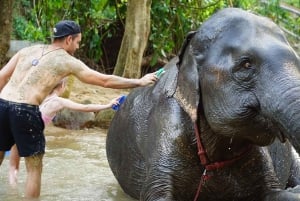 Koh Samui: Santuario ético de elefantes de media jornada con spa de barro