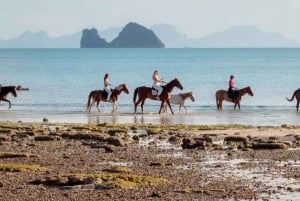 Passeios a cavalo e trilhas na praia em Koh Samui