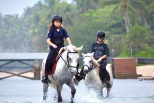 Passeios a cavalo e trilhas na praia em Koh Samui