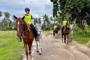 Passeios a cavalo e trilhas na praia em Koh Samui