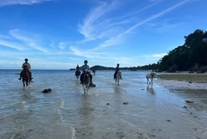 Passeios a cavalo e trilhas na praia em Koh Samui