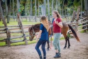 Passeios a cavalo e trilhas na praia em Koh Samui