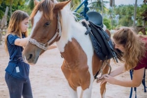 Passeios a cavalo e trilhas na praia em Koh Samui