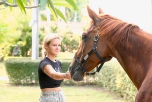 Passeios a cavalo e trilhas na praia em Koh Samui