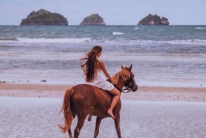 Passeios a cavalo e trilhas na praia em Koh Samui