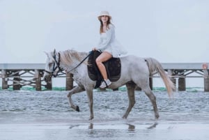 Passeios a cavalo e trilhas na praia em Koh Samui