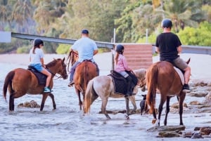 Passeios a cavalo e trilhas na praia em Koh Samui