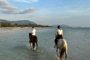 Passeios a cavalo e trilhas na praia em Koh Samui