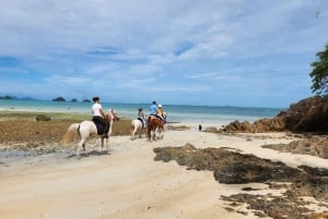 Passeios a cavalo e trilhas na praia em Koh Samui