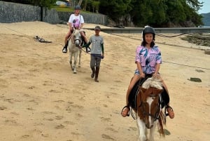 Passeios a cavalo e trilhas na praia em Koh Samui