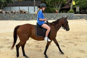 Passeios a cavalo e trilhas na praia em Koh Samui